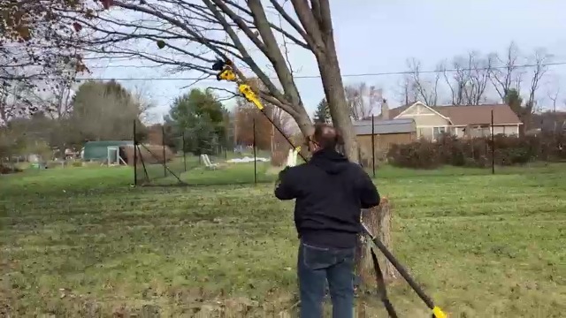 COPPER 100 やかん S-820 2-in-1 Cordless Pole Saw, 8 Inch Brushless Pole Chainsaws